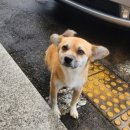 면접 후기 | 서울대학교 신입직원 행정직 8급 &#34;진리의 면까몰&#34;