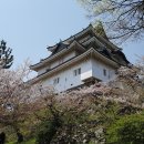 봄날처럼 가볍게 떠나는 주말여행 #4. 와카야마성의 봄 풍경 two step 이미지