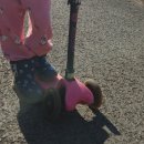 방산목장 이미지