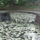 도쿄 여행14 - 도심속에 휴식처 광활한 신주쿠 정원을 구경하다! 이미지