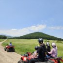 소랑세미 | 제주도 소랑 ATV 체험후기