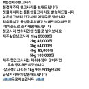 청정지역 제주햇고사리 이미지