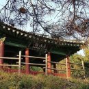 평창강로 이미지