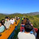 지산11길-1 이미지