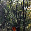 사내파출소 | 안산 단풍구경 명소 수암봉 가을 산행