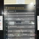 모노도그