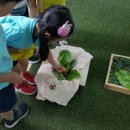 하나빛캐슬유치원 이미지