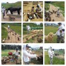 민준농장 이미지