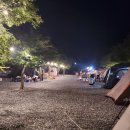 포레스트캐빈앤캠프 네이버블로그