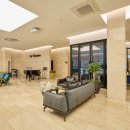 펫오케스트라 반려동물장례식장 이미지