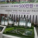 빅마켓프라자