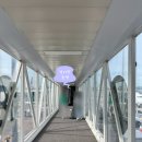 가족 에코 클래스 | 3인 숙소 추천 • 제주도 가족여행 숙소 추천 • 제주...5성급 호텔 ‘에코랜드 호텔 제주’ 내돈내산 후기