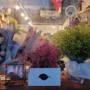 로컬디자인숲 협동조합