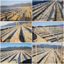 온누리철재 이미지