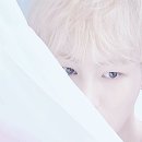 핑크장 이미지