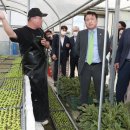 김영환농장 이미지