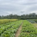 고우농장 이미지