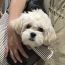 스나이퍼존 | 인턴 4주차야_스나이퍼팩토리 경영사무 인턴형 프로그램