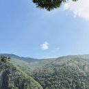 너마늘위한치킨 이미지