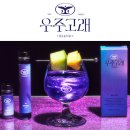 AstroWhale | 술자리 인싸템 소주를 더 예쁘고 맛있게 만드는 우주고래