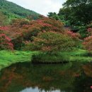 작은산대 이미지