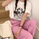 네모강아지 이미지