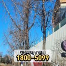 용산-현장-775 이미지