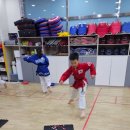 오목태권도장 이미지