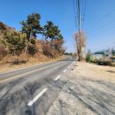 뉴메인공인중개사사무소 이미지