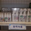 진성닷컴(주) 이미지