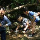 대원유치원 이미지