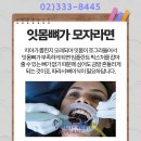 하이메드 이미지