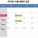 꼬삐아 이미지