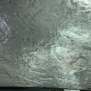 삼우세차장 이미지