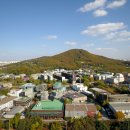 진진약국 이미지