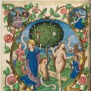 생명나무도서관 이미지