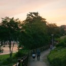 기흥호수공원 이미지