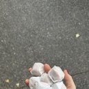 따봉세탁소 이미지