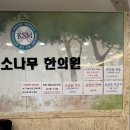 김포 장기동 경희 소나무 한의원 추천/ 교통사고 한의원/ 물리치료기구 많은 한의원/ 추나요법 잘 하는 곳