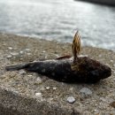 모노마트 앞 | 치히로모노야도 :: 일본 감성 200% 숙소, 감성 가득한 ‘치히로모노야도’ 후기 (ft. 대마도 숙소 추천)