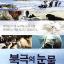 (주)그린팩키지 이미지