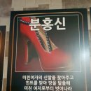 시그널방탈출카페
