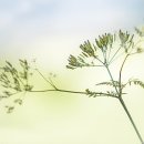 공정 행정사사무소 이미지