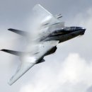 F14 이미지
