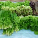 홍동농장 이미지