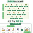 안정 이미지