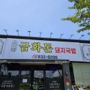 삼천포금화돈 이미지