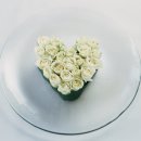 국제상록 행정사사무소 이미지