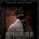 콘서트오페라 네이버블로그