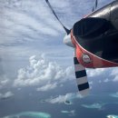 오션메디 | 몰디브 에메랄드 파루푸시 1일차｜웰컴샴페인·풀바 버거·메디테라노 디너 리뷰